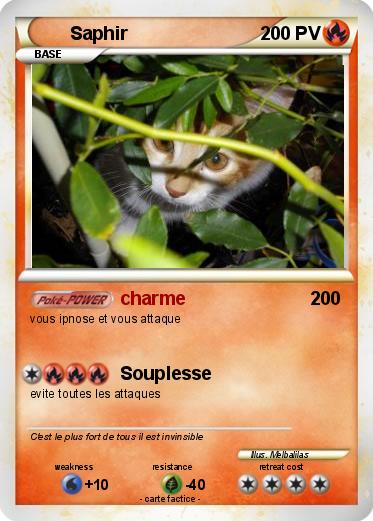 Pokemon Saphir