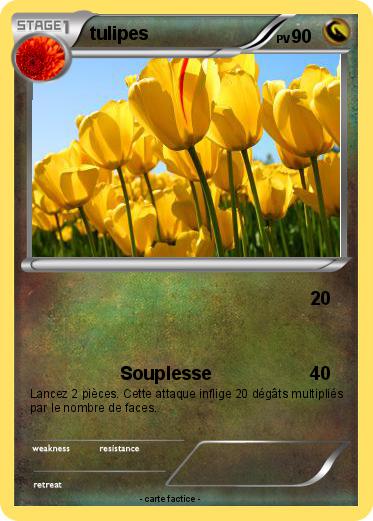 Pokemon tulipes