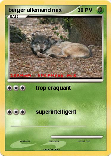 Pokemon berger allemand mix