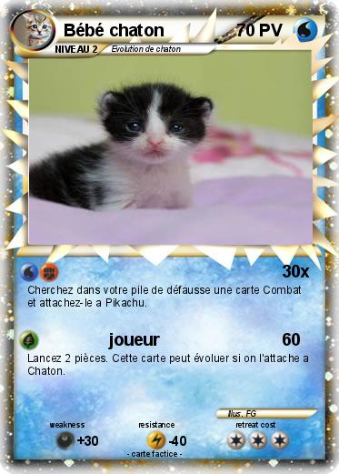 Pokemon Bébé chaton