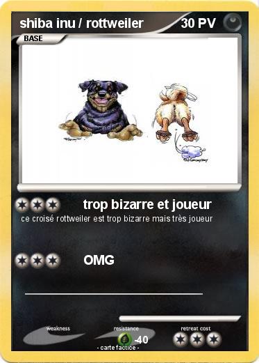 Pokemon shiba inu / rottweiler