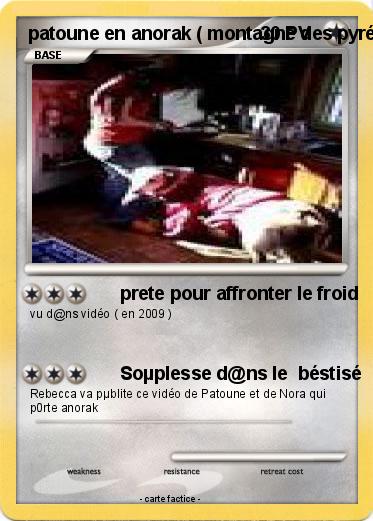 Pokemon patoune en anorak ( montagne des pyrénées )