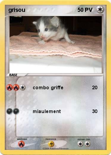 Pokemon grisou