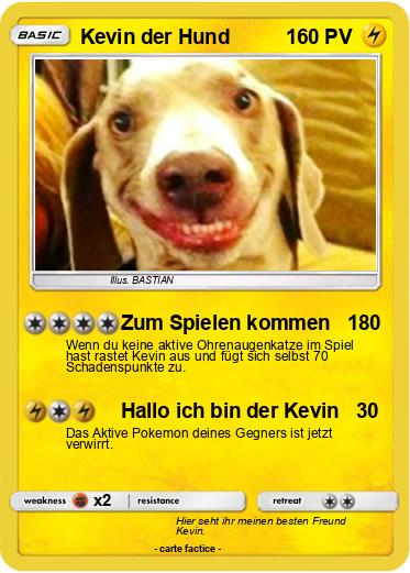 Pokemon Kevin der Hund