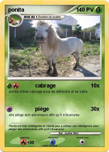 Pokemon ponita