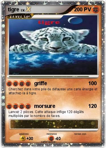 Pokemon tigre