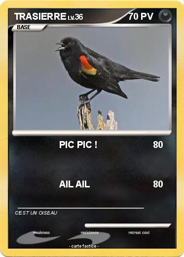 Pokemon TRASIERRE