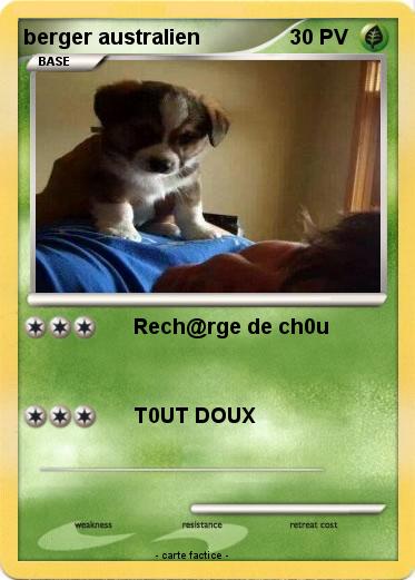 Pokemon berger australien