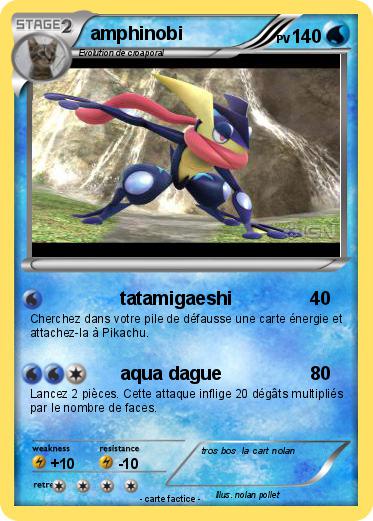 Pokemon amphinobi