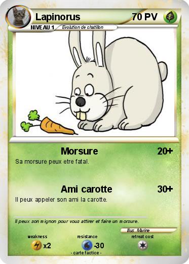Pokemon Lapinorus