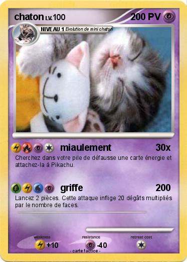 Pokemon chaton