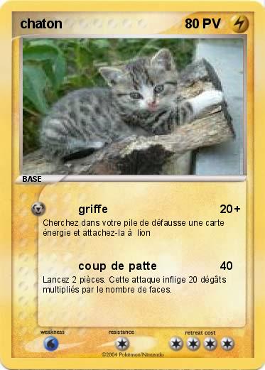 Pokemon chaton
