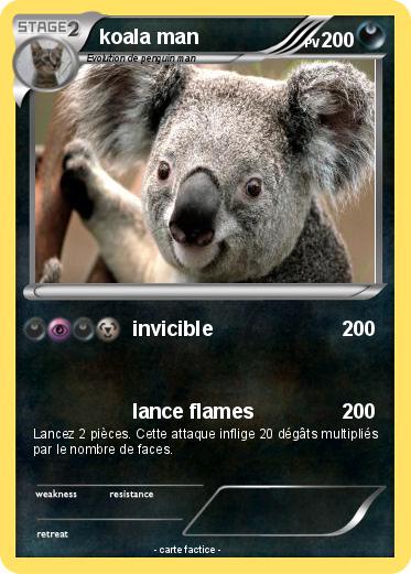 Pokemon koala man