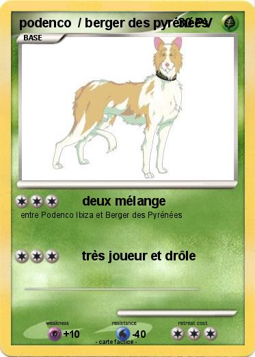 Pokemon podenco  / berger des pyrénées