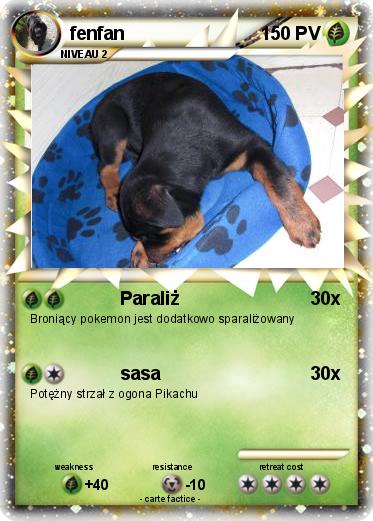 Pokemon fenfan