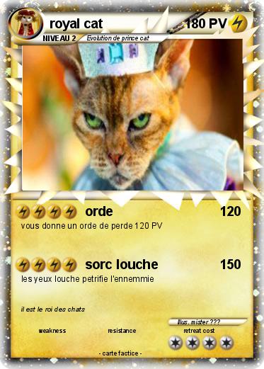 Pokemon royal cat
