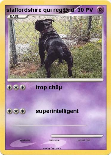 Pokemon staffordshire qui reg@rd