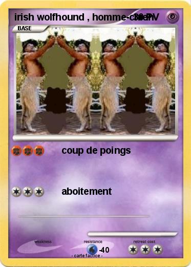 Pokemon irish wolfhound , homme-chien