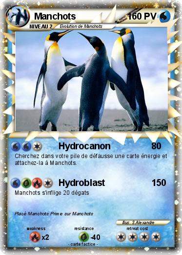 Pokemon Manchots