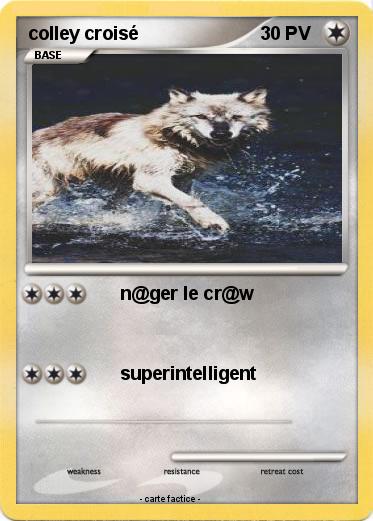 Pokemon colley croisé