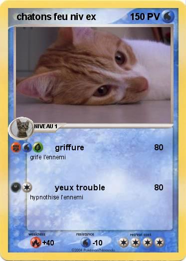 Pokemon  chatons feu niv ex