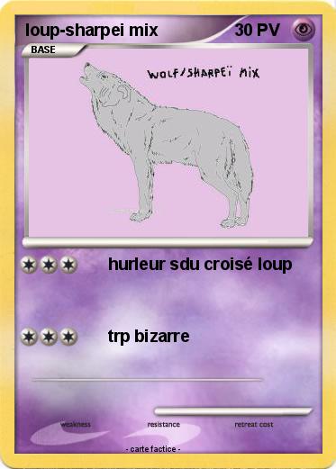 Pokemon loup-sharpei mix
