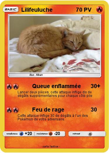 Pokemon Lilifeuluche