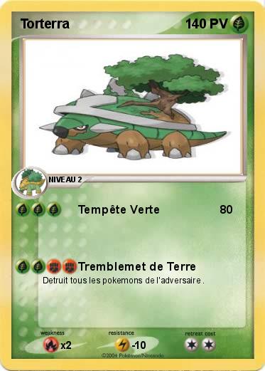 Pokemon Torterra