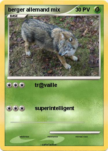 Pokemon berger allemand mix