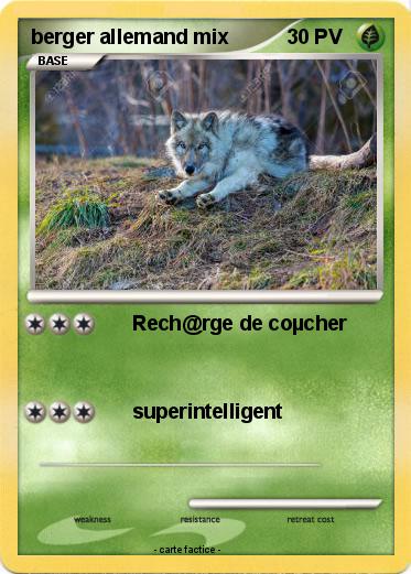 Pokemon berger allemand mix