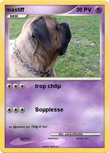 Pokemon mastiff