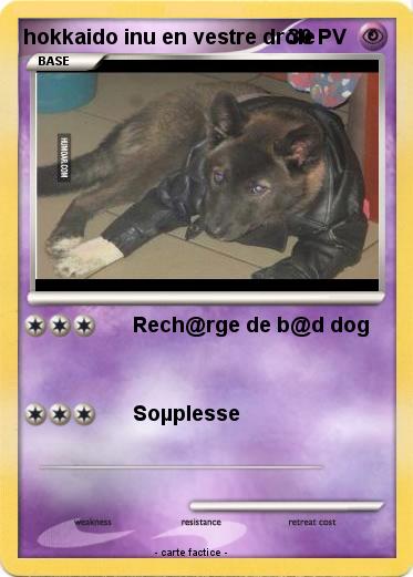 Pokemon hokkaido inu en vestre drôle