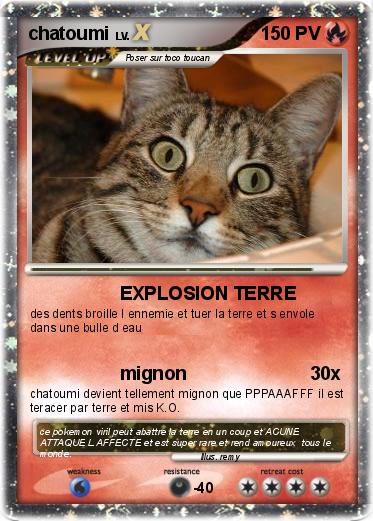 Pokemon chatoumi