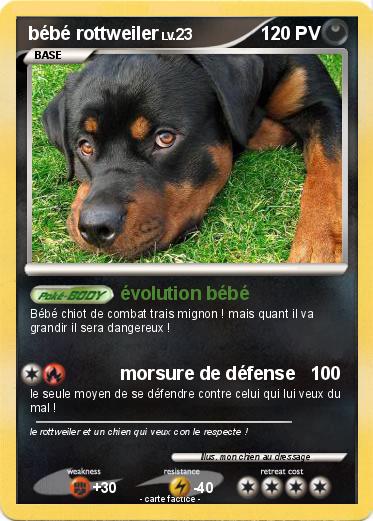 Pokemon bébé rottweiler