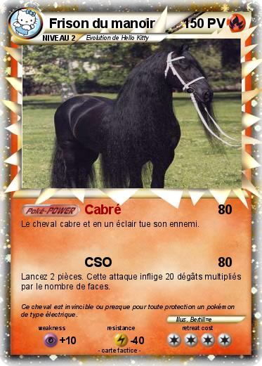 Pokemon Frison du manoir