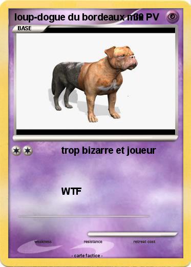 Pokemon loup-dogue du bordeaux mix