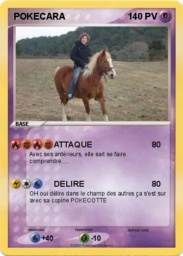 Pokemon POKECARA