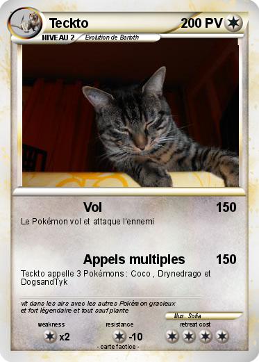 Pokemon Teckto