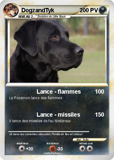 Pokemon DogzandTyk
