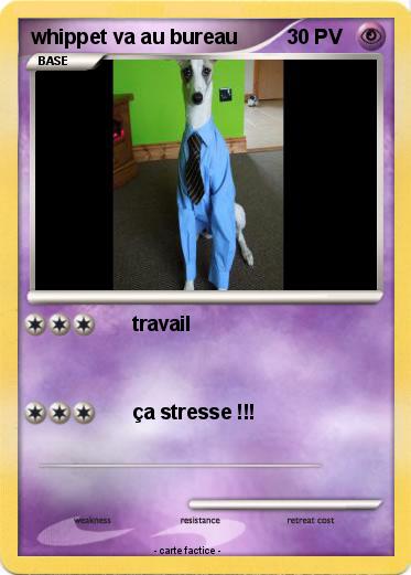 Pokemon whippet va au bureau