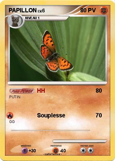 Pokemon PAPILLON