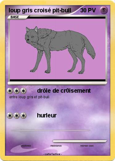 Pokemon loup gris croisé pit-bull