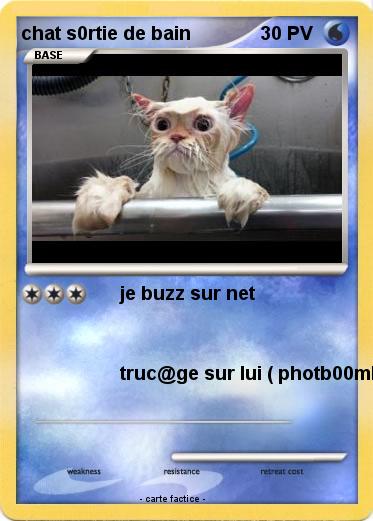 Pokemon chat s0rtie de bain