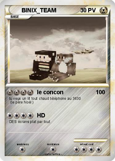 Pokemon BINIX_TEAM