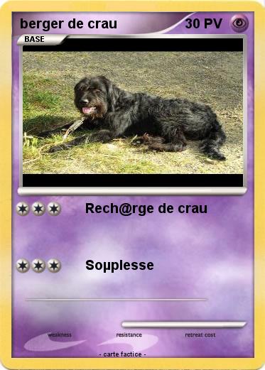 Pokemon berger de crau
