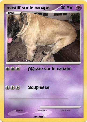 Pokemon mastiff sur le canapé