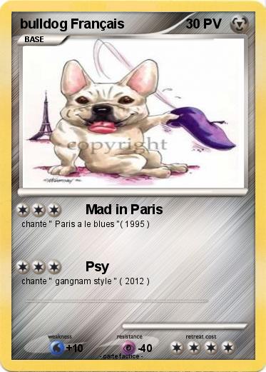 Pokemon bulldog Français