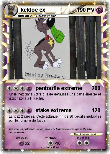 Pokemon keldoe ex