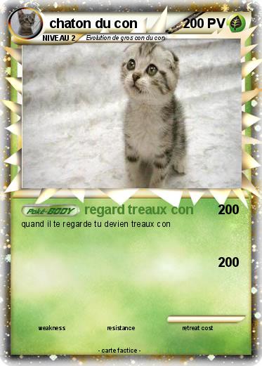 Pokemon chaton du con