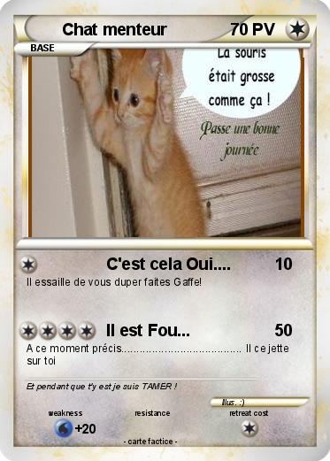 Pokemon Chat menteur